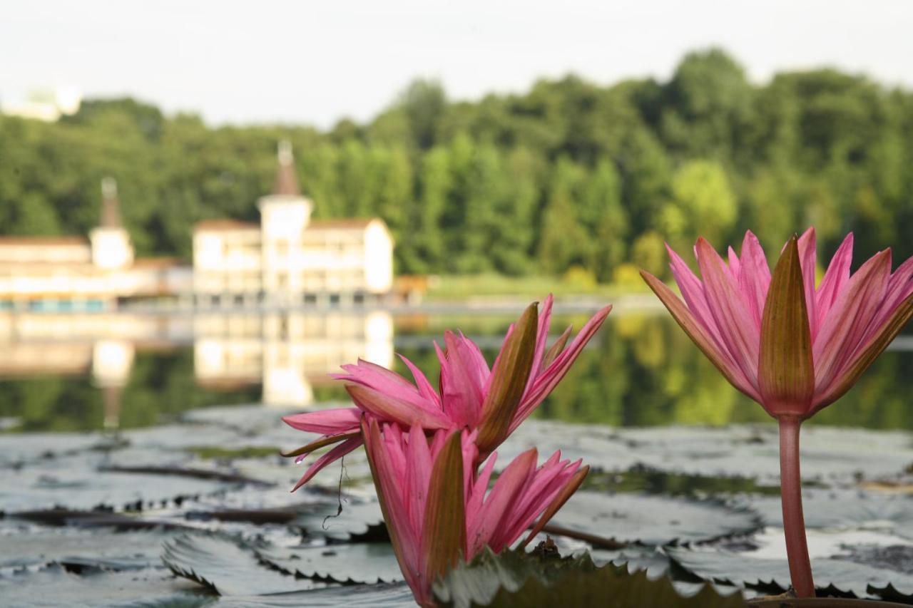Piroska Villa Хевіз Екстер'єр фото